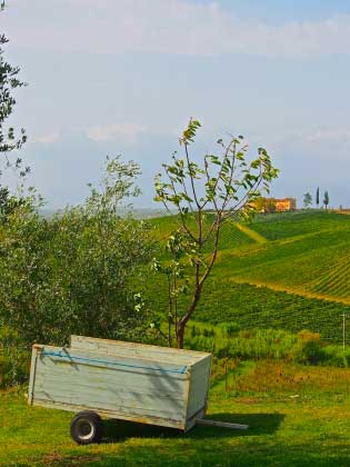 Romantique_Agritourisme_Toscane