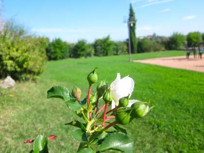 Vacances_Thermes_Toscane