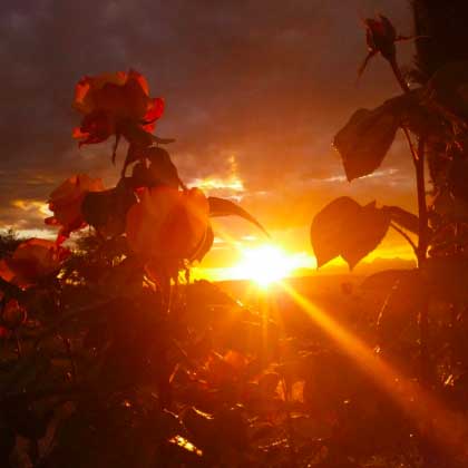 Romantique_Agritourisme_Toscane