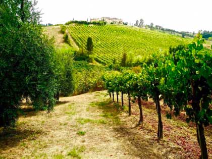 Romantique_Agritourisme_Toscane