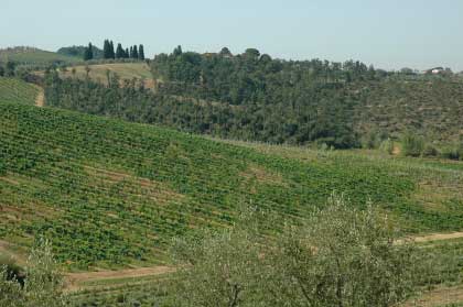 Romantique_Agritourisme_Toscane